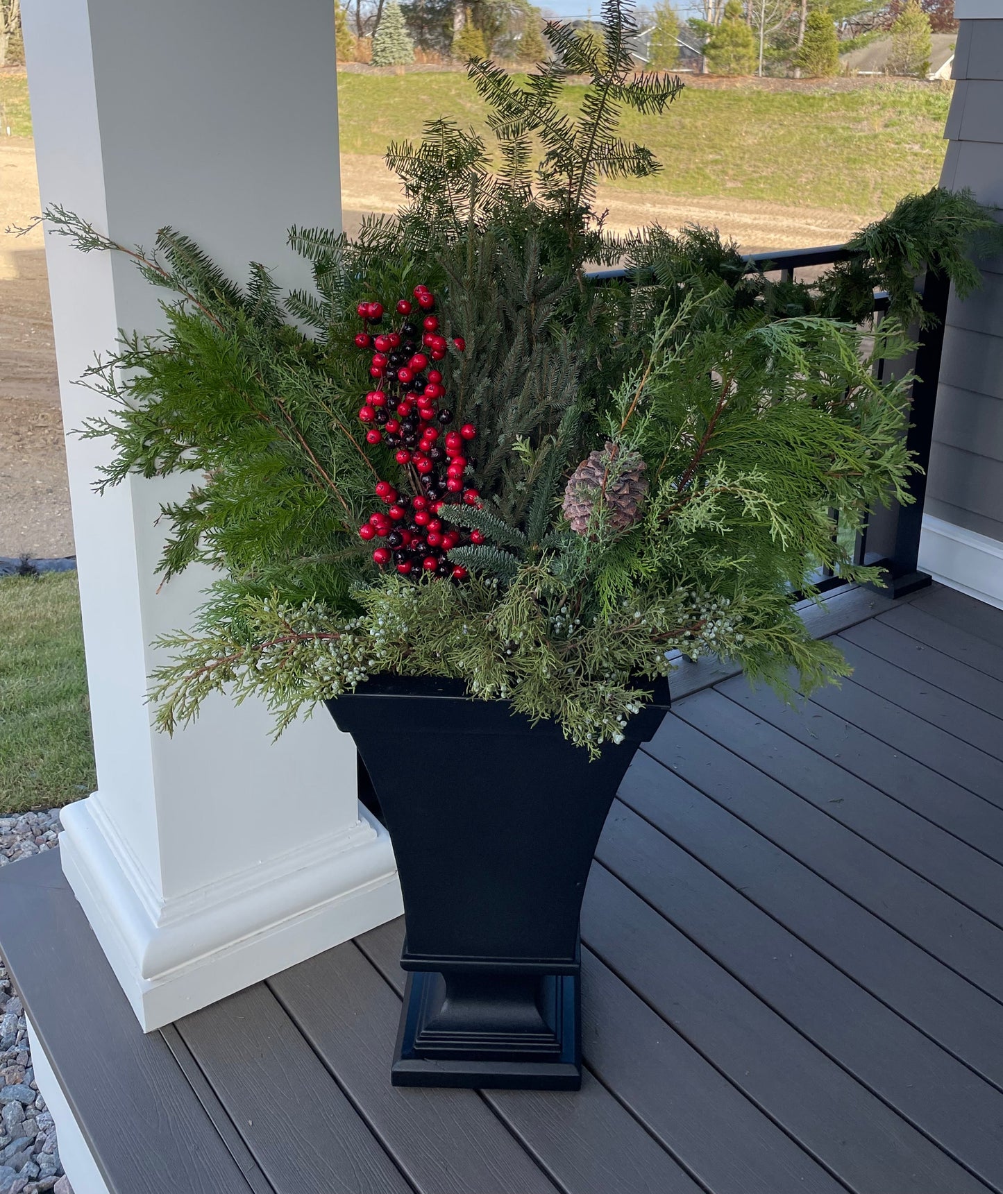 Shorter Spruce Tips Display